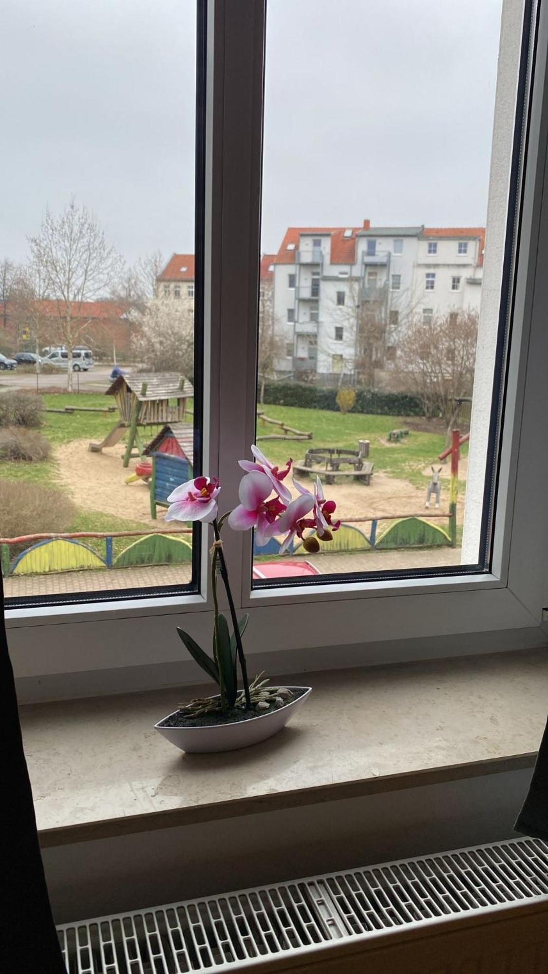 Fewo "Franzi" 5 Personen, Zentrale Lage, Parkplatz Dessau-Rosslau Zewnętrze zdjęcie
